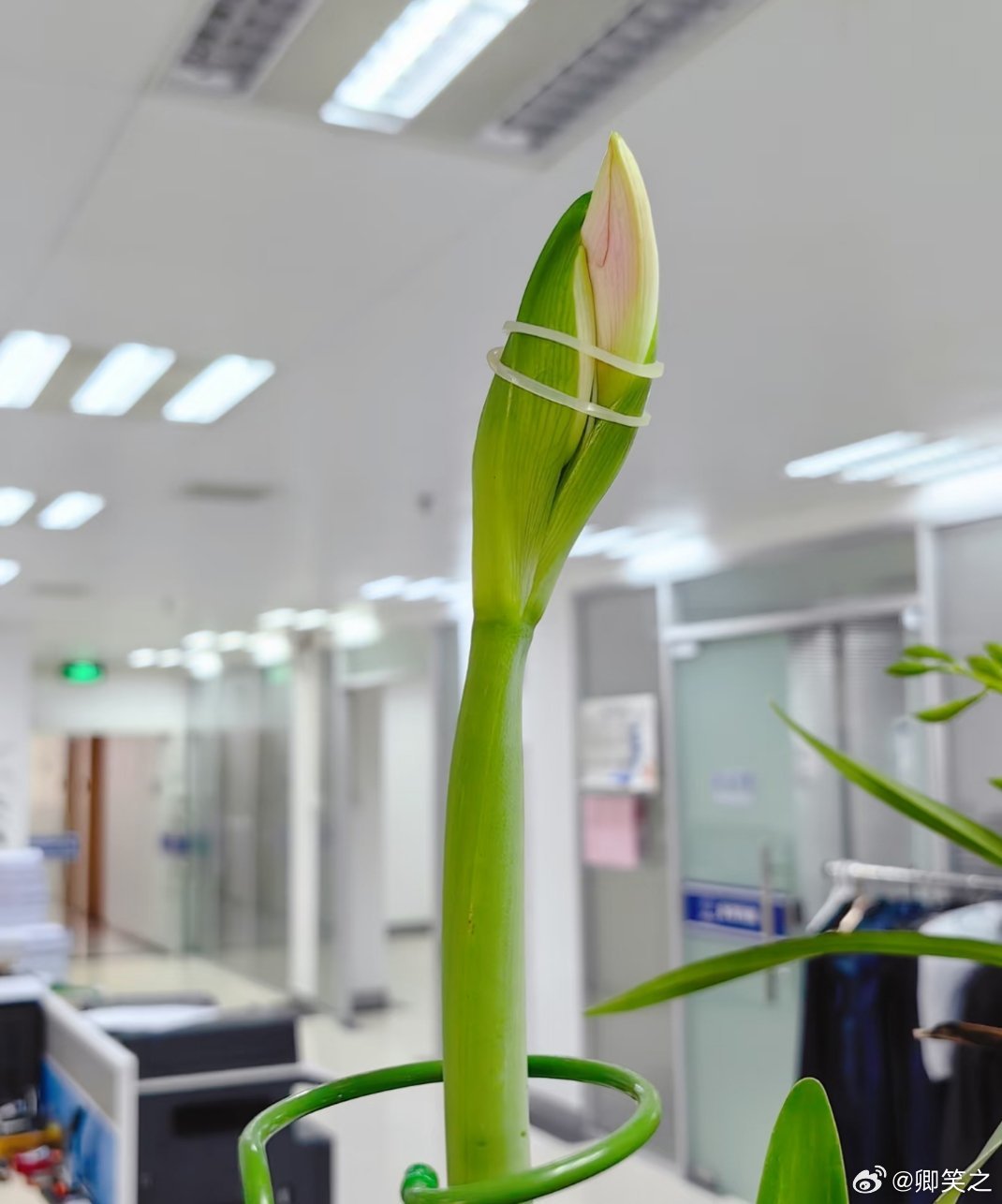 劝你懂事点马上周末要放假了，你却要开了，劝你懂事点啊，周一上班了再开 