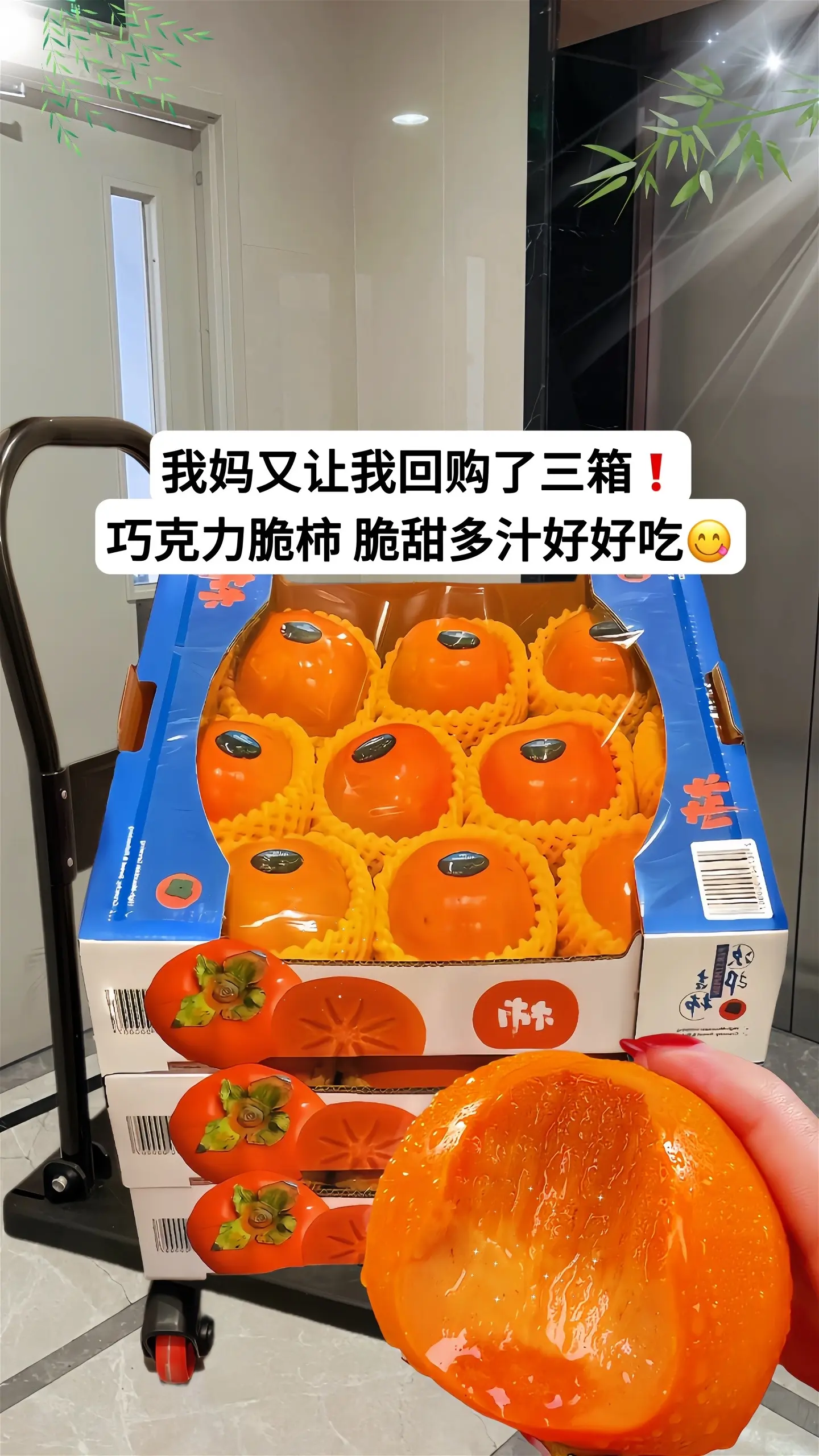 咬一口嘎嘣脆的脆柿子，又脆又甜又多汁 满满糖心，纯甜不涩口 好吃哭了！