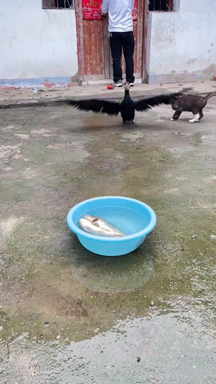 一会。