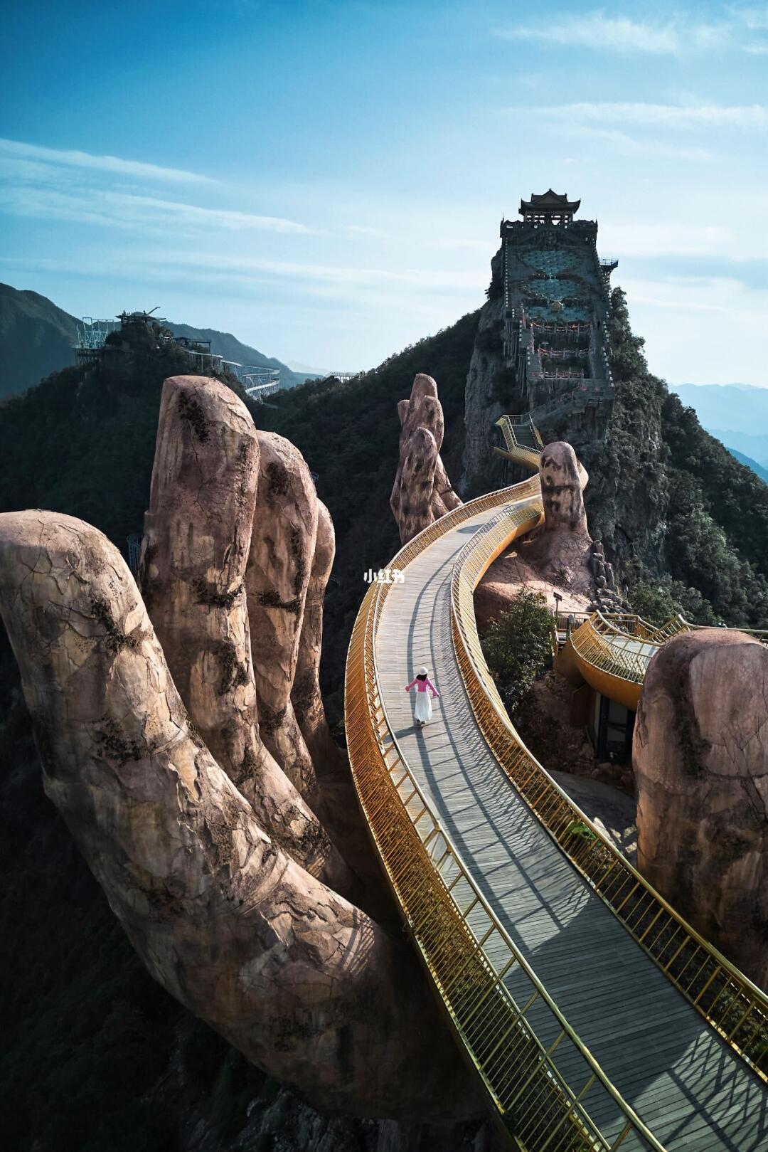 不是国外❗️为了这个佛手👋我特意去了趟杭州