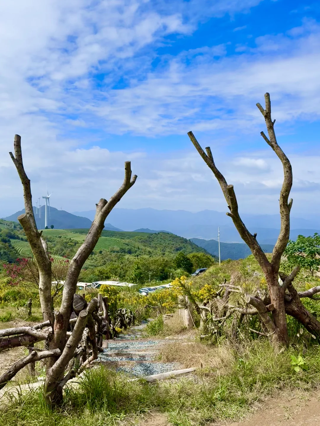 宁波！躲进山里🐿️童话里的秋日森林营地🏕️