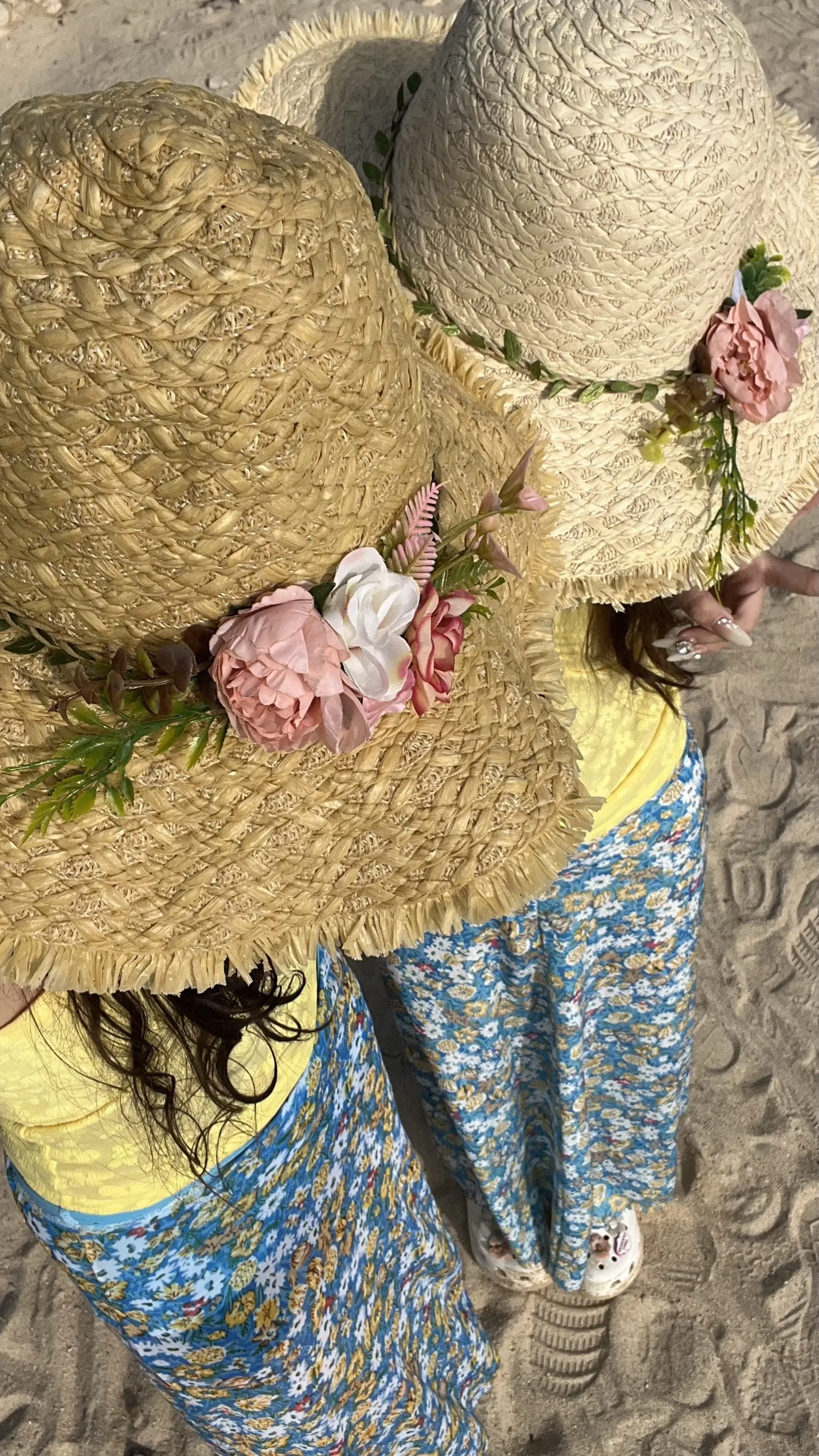 ⋆⁺₊🐚₊⁺🐋₊⁺𓇻⋆₊𝓣𝓱𝓮𝓢𝓮𝓪𓇬◌𓈒🌴⋆...