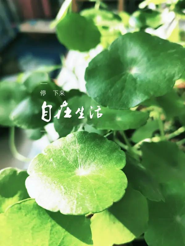 我相信一切都会好起来的！人到中年，经历过人情冷暖、低谷迷茫，谁没在无人理解的日子