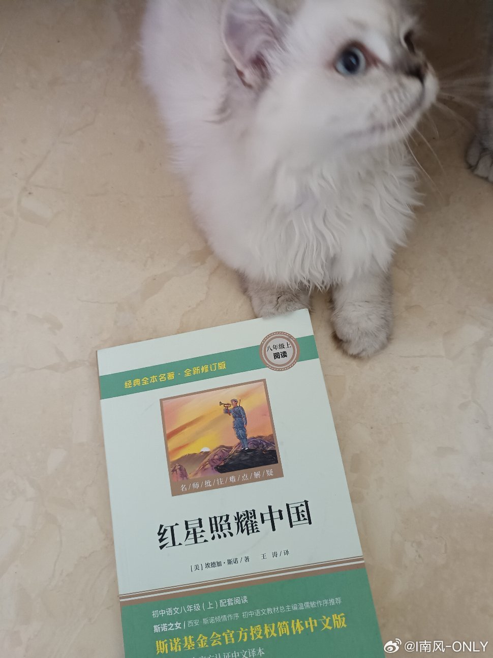 人的一生，总是为了寻找生命中的光，而走在漫长的旅途中。早安，追光的你🌞 ​​​