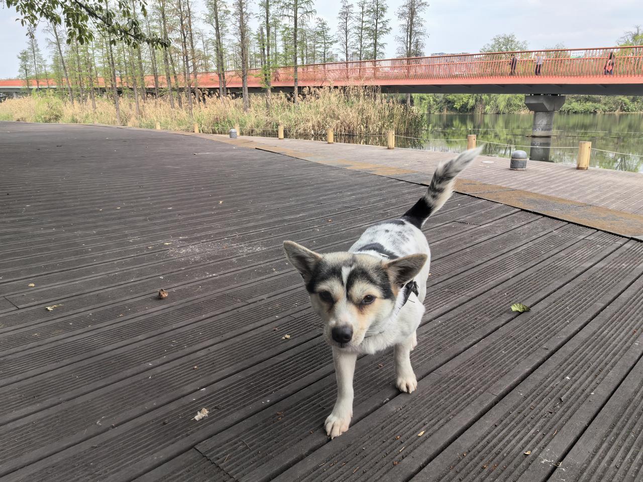 伊朗议会议长卡利巴夫3月30日凌晨发文指出：提醒一下，盘前所谓的