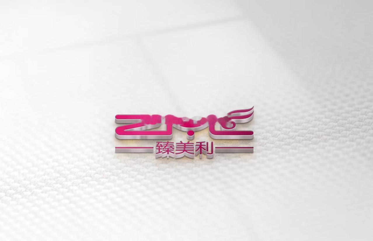 【英文：ZML 。中文：臻美利。公司（或产品）的概述：主要用于化妆用具，如眉笔刷