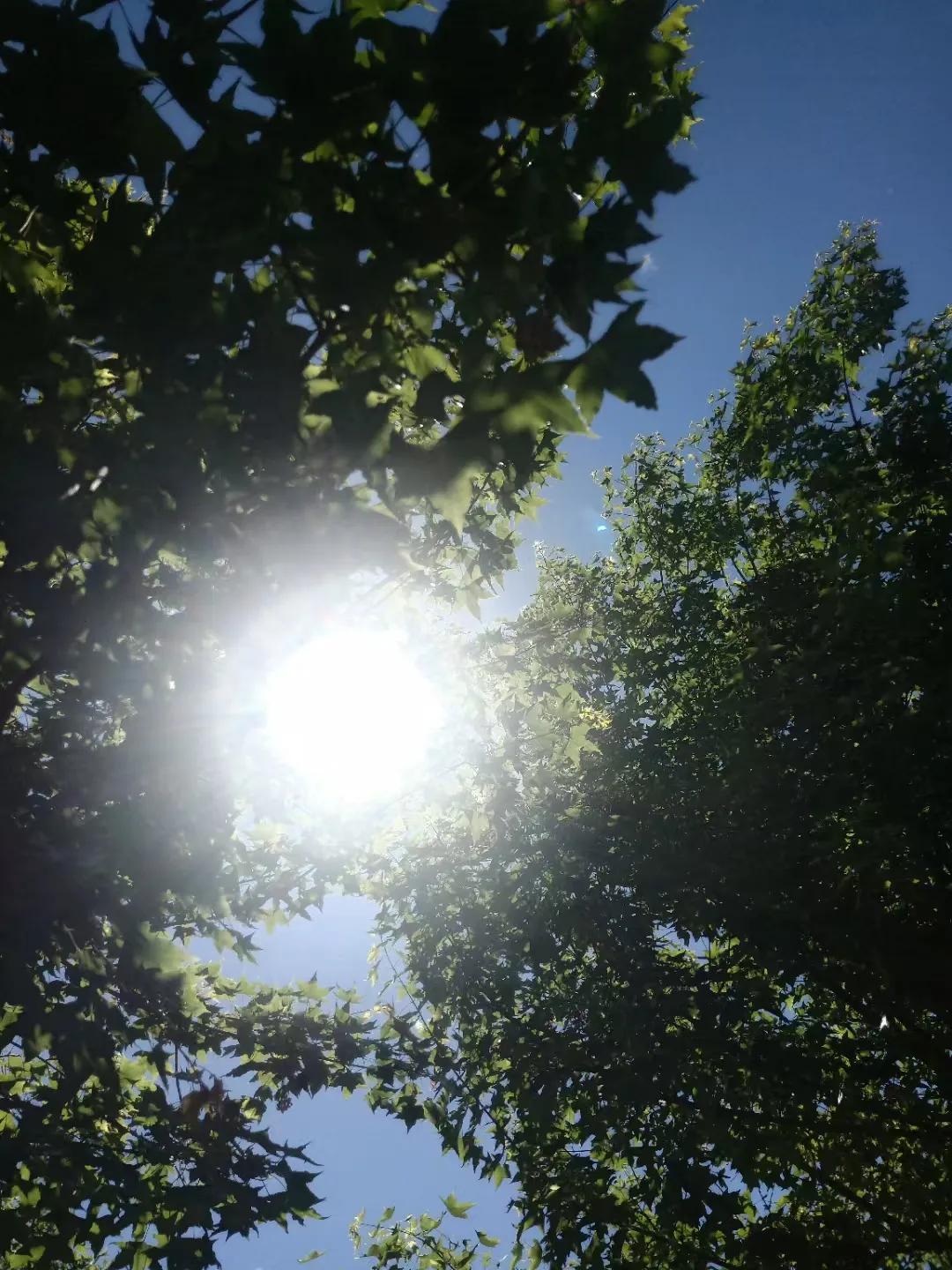 有的人特别搞笑
说什么城市套路深
我要回农村
你以为农村就没套路了是吧
真是天真