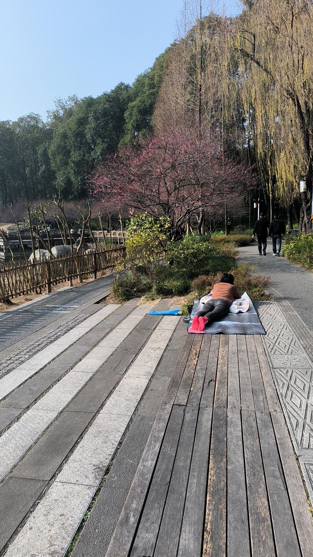 我感觉
我隔壁的老两口要分居了

住在我隔壁的老两口，大爷73，大妈70。
由于