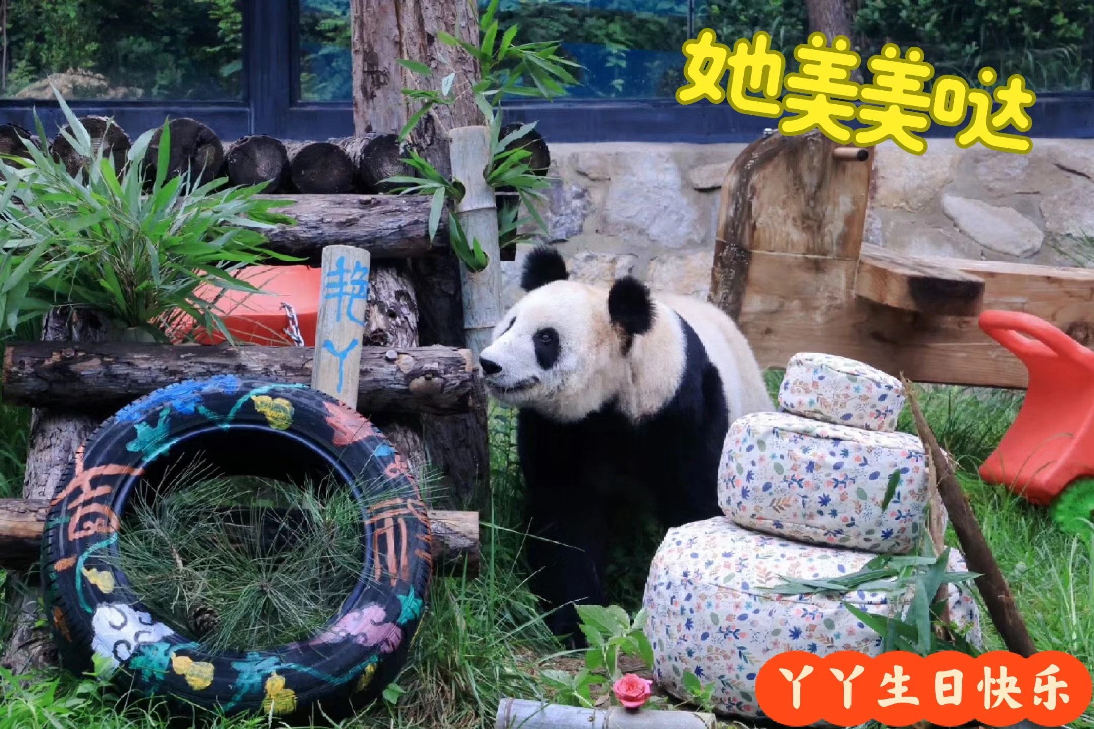 #丫丫今天24岁了#08.03 西直门长公主丫丫生日快乐！祝丫丫生日快乐，健康长
