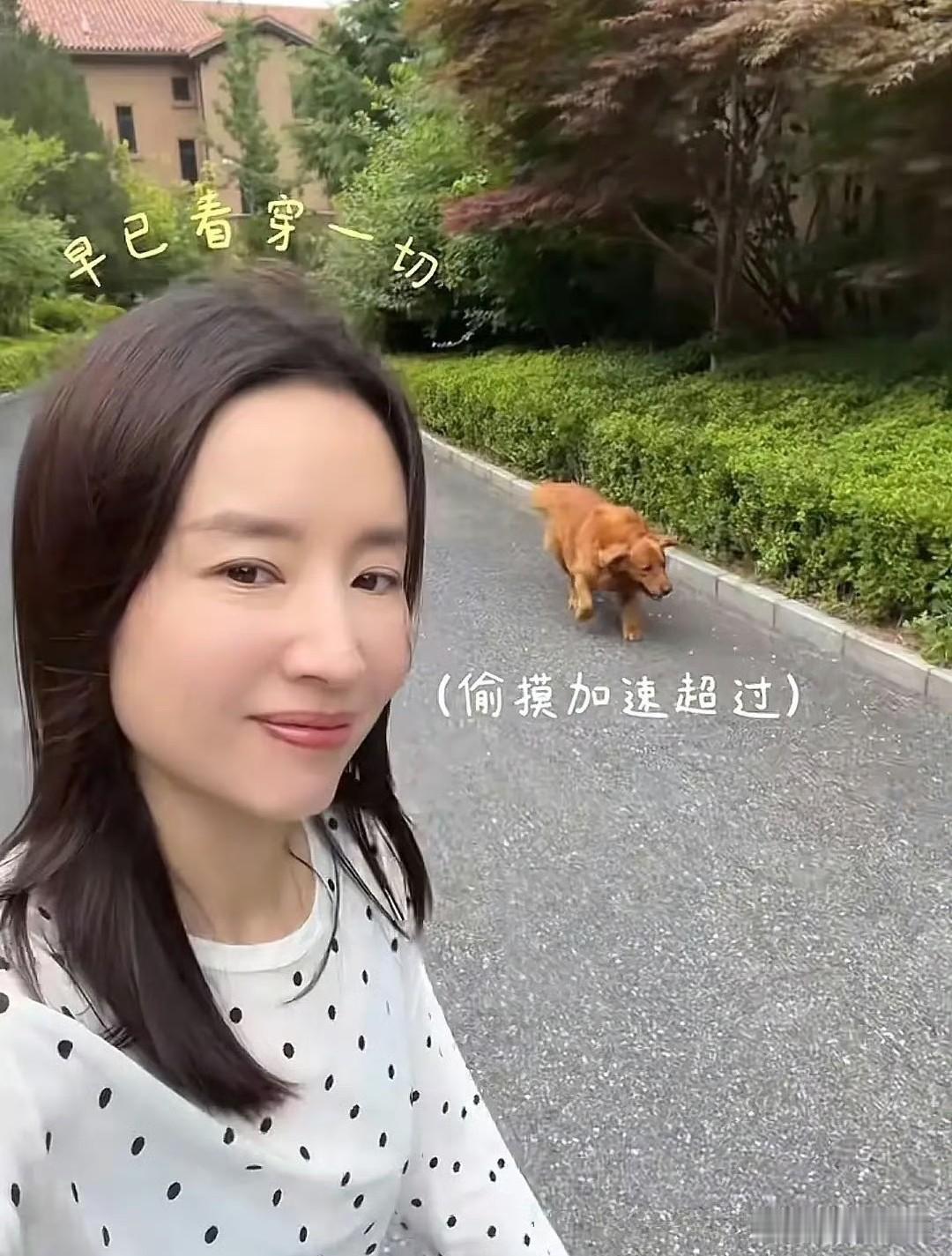 董洁晒自家在大连的别墅，独栋带院子至少500平，儿子顶顶小时候领养的大金毛狗就放
