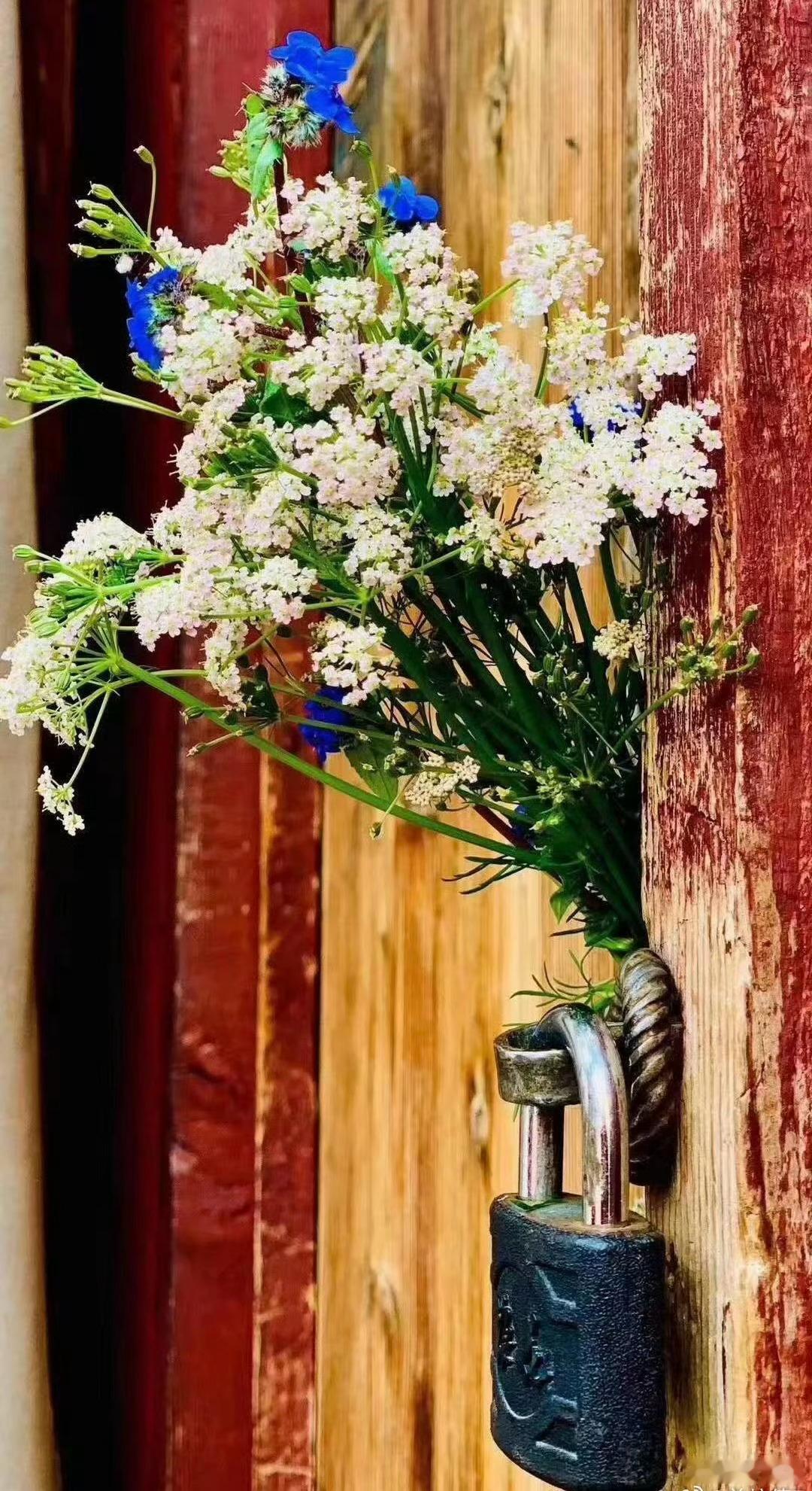 ལྷད་མེད་ཀྱིས་དགའ་བ་ནི་བསམ་པའི་སྒྱུ་རྩལ་ཞ