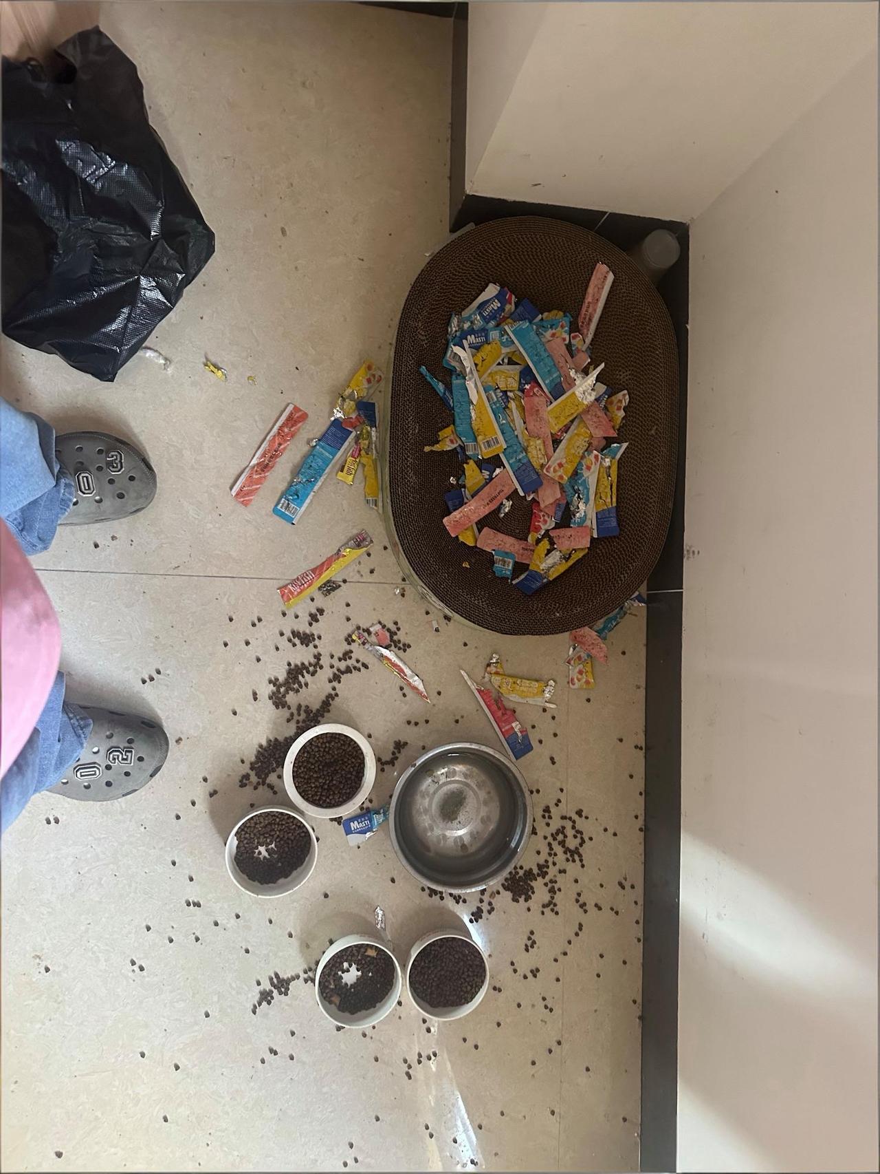 这就是所谓的快乐