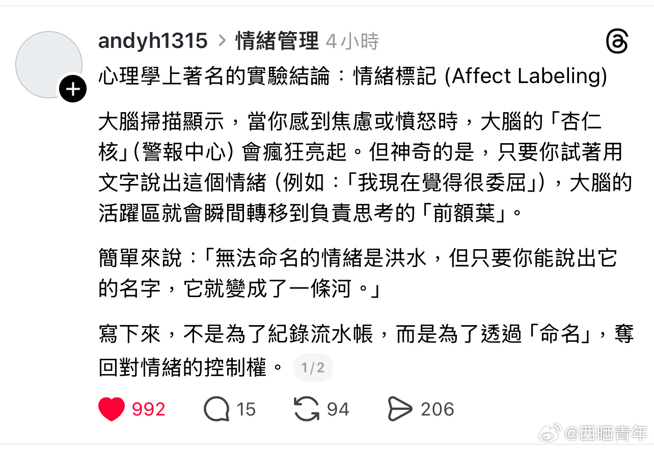 无法命名的情绪是洪水，但只要你能说出它的名字，它就变成了一条河。 