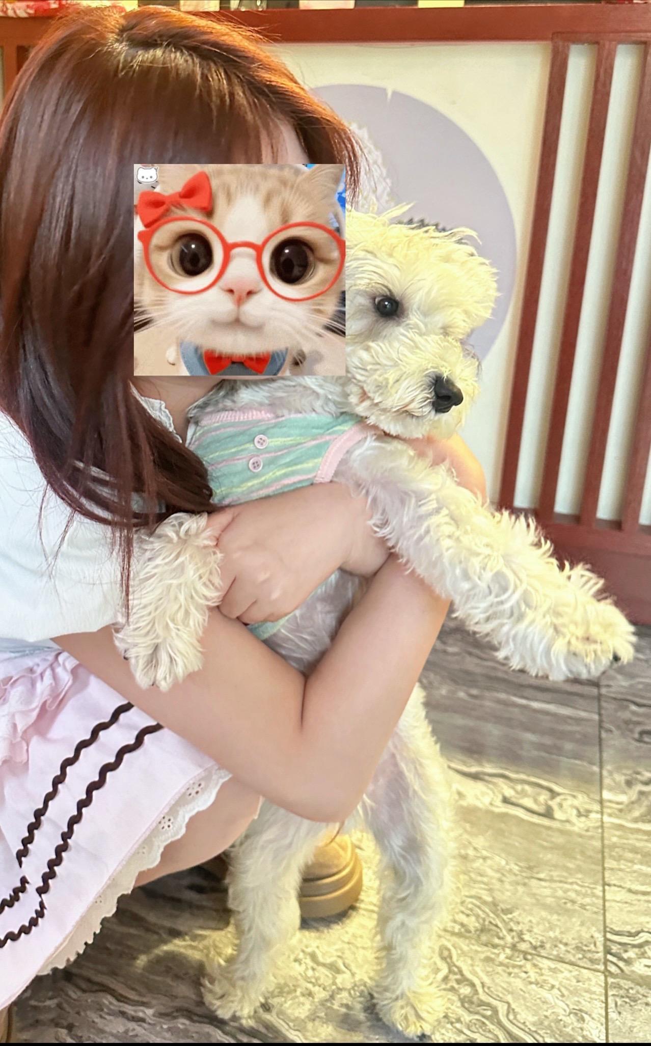 咕噜：不要搞了好吧。