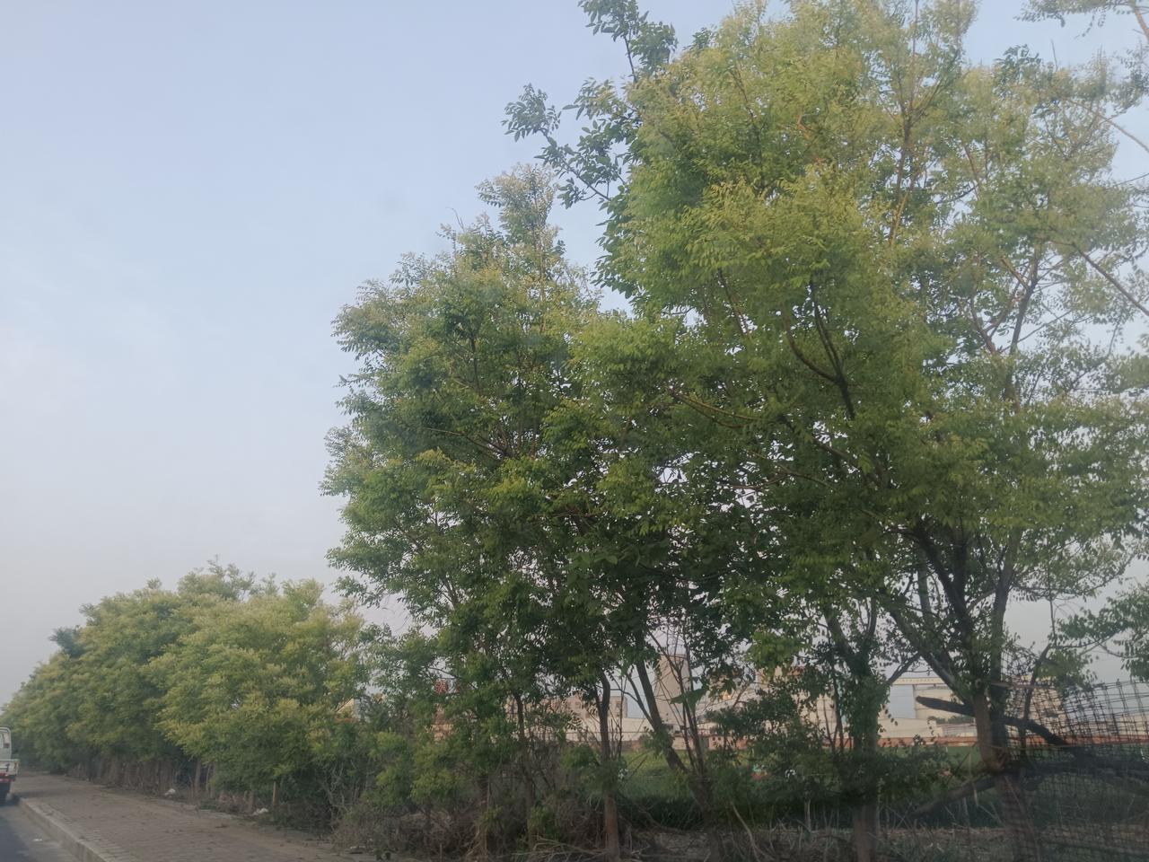 嫁汉嫁汉，穿衣吃饭。没出嫁时不懂，等明白过来就晚了

我二十岁那年嫁的人。

那