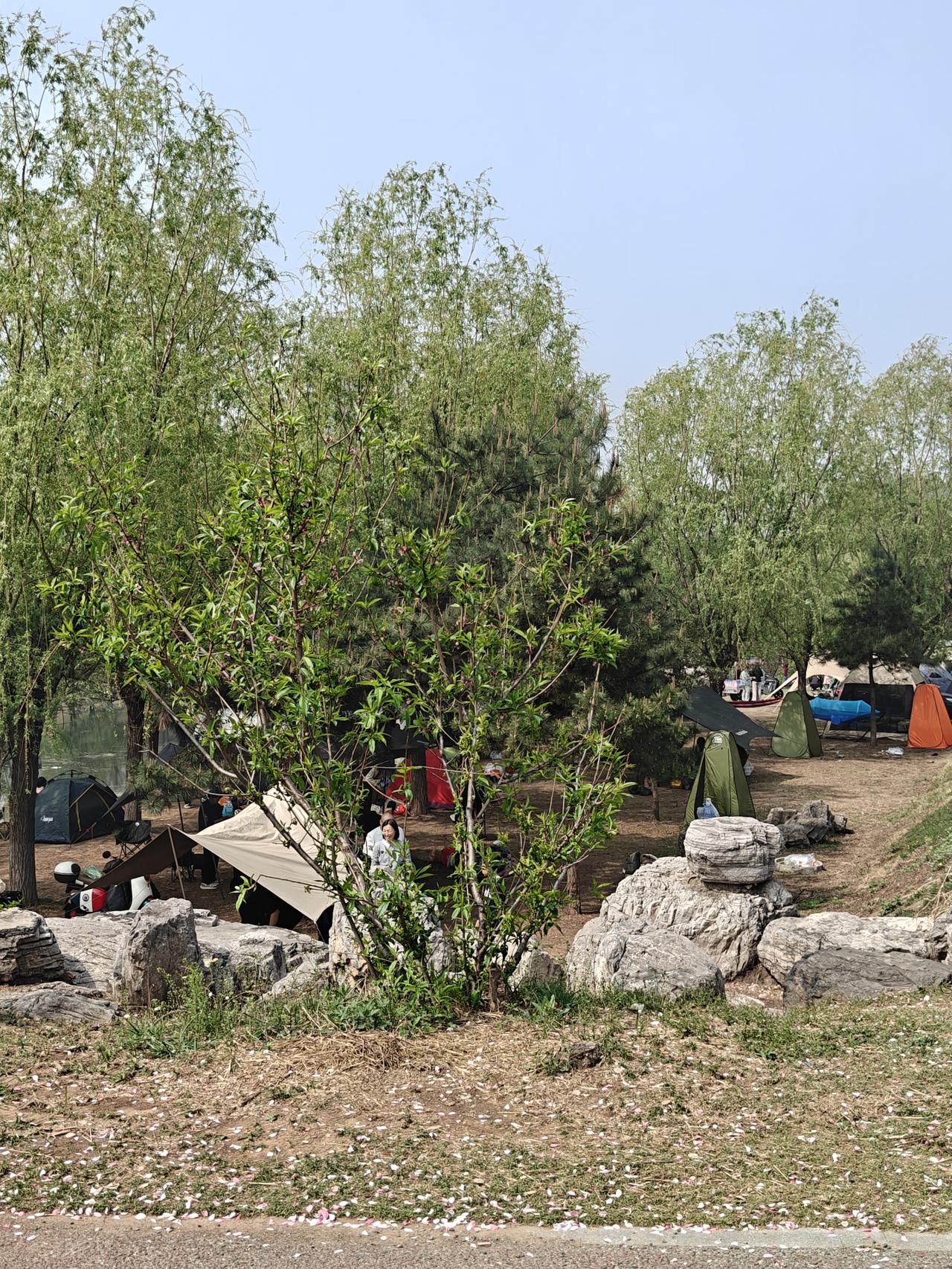 春日生活打卡季月亮湾，喜欢烧烤野炊人们的乐园。