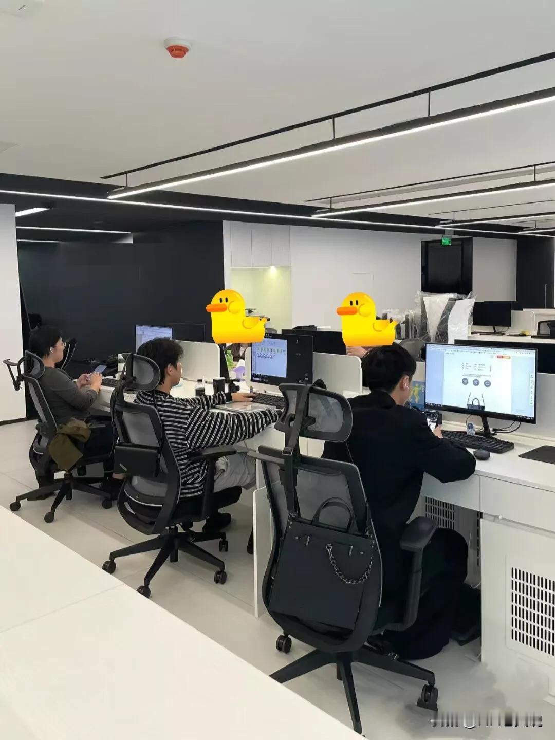 刚入职不到一周、83年的采购主管要离职了，原因是之前她面试过的一家她比较中意的公