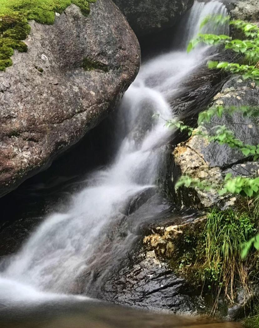 有医生提醒中老年人：别频繁洗澡，并非不让洗，而是要科学洗，不然真可能伤身。

我