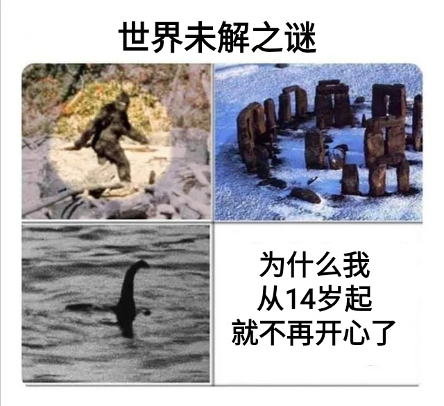 现在有时会开心  但就好像烟雾一样  很快的消散了。 meme  / 