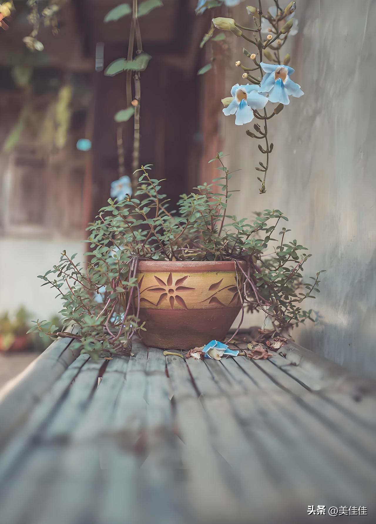 最现实的人情真相
 
发现一个残酷的真相：小时候，亲戚对你好，那是因为你父母有本