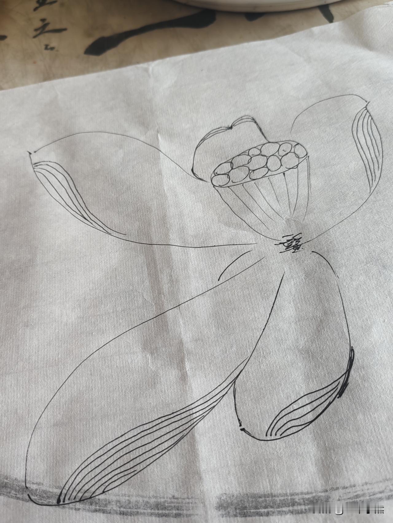 闲的无聊，来个白描。张大千的金线荷花，我感觉他用的是金色的油笔画的。[大笑][大