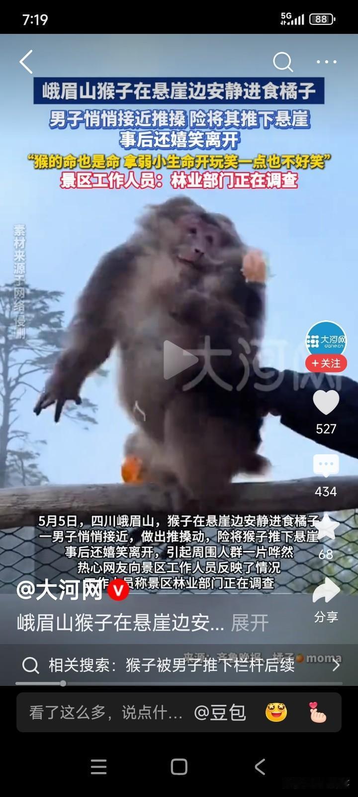 四川乐山。一名男子前往峨眉山游玩，看见一只猴子正坐在悬崖边吃橘子。
男子悄悄走到
