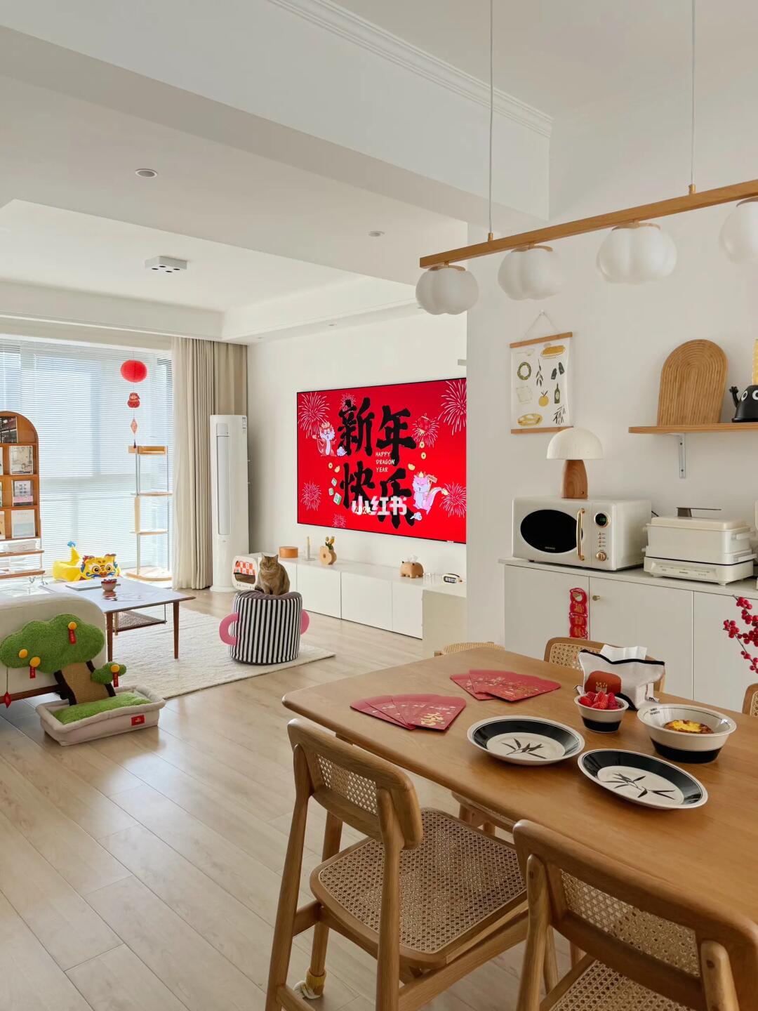 70平独居 | 和两毛孩欢乐迎新年🎉