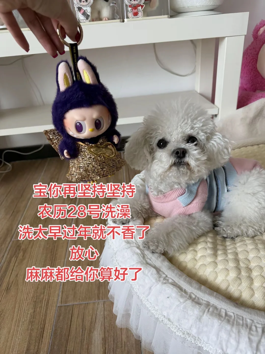 小狗再坚持坚持就可以香香啦