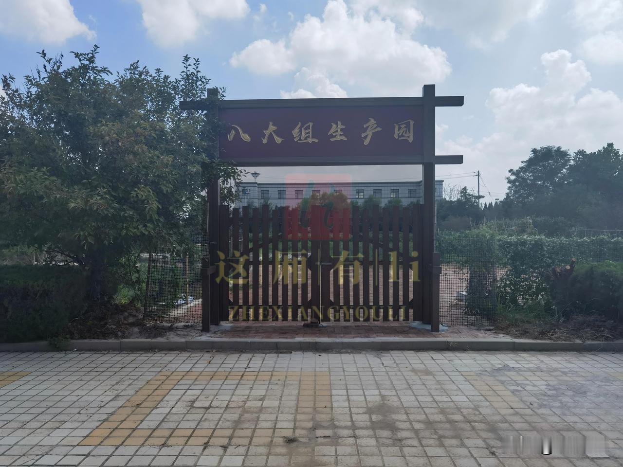 这个名字有点怪！
渤海垦区革命纪念馆旁，见到一处园子，大门牌匾写着“八大组生产园