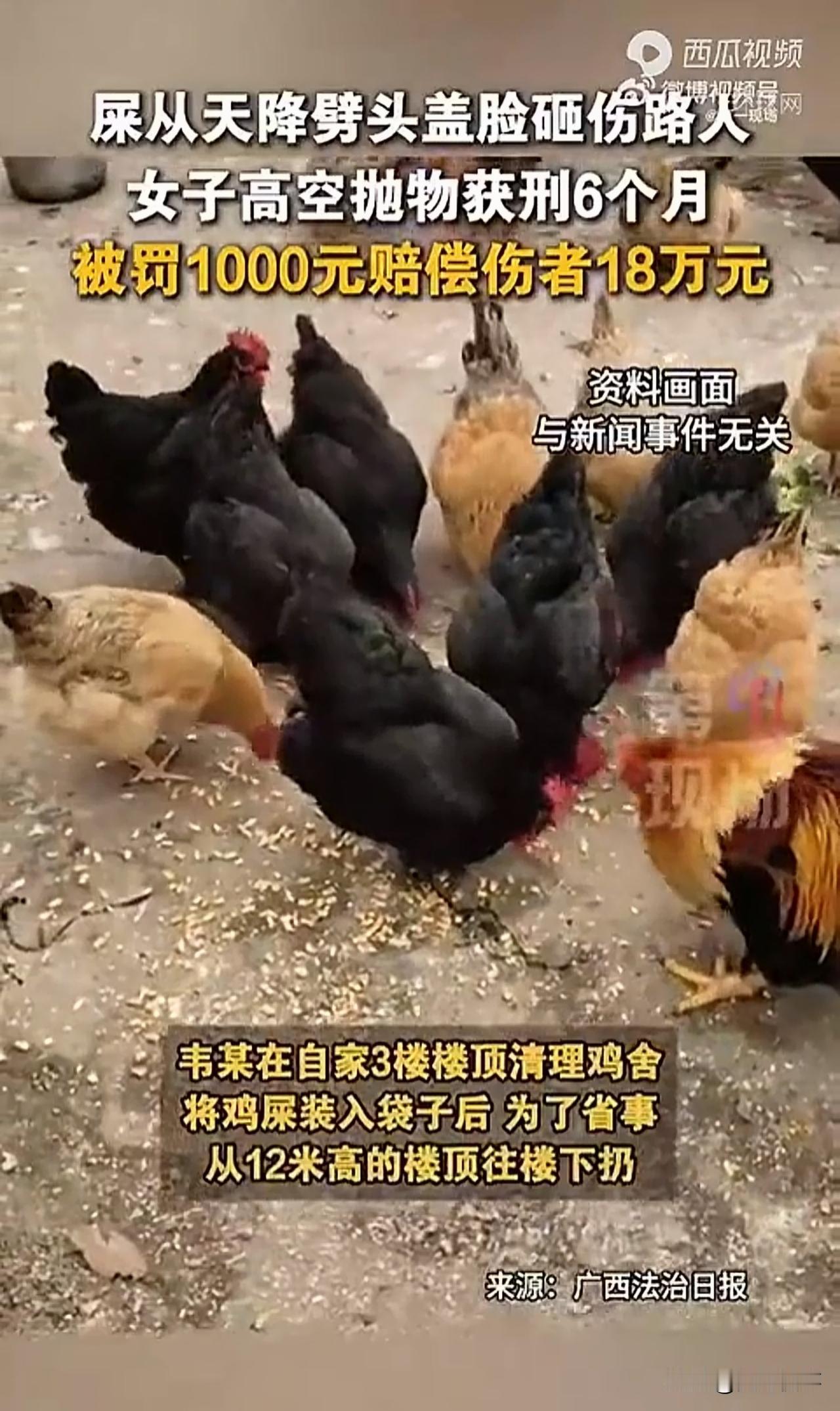 “高空抛屎，必须严惩！”广西来宾，一男子在自家三楼养鸡，为了图方便，他在清理鸡屎