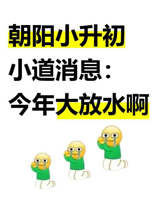 朝阳小升初小道消息：今年大放水啊~