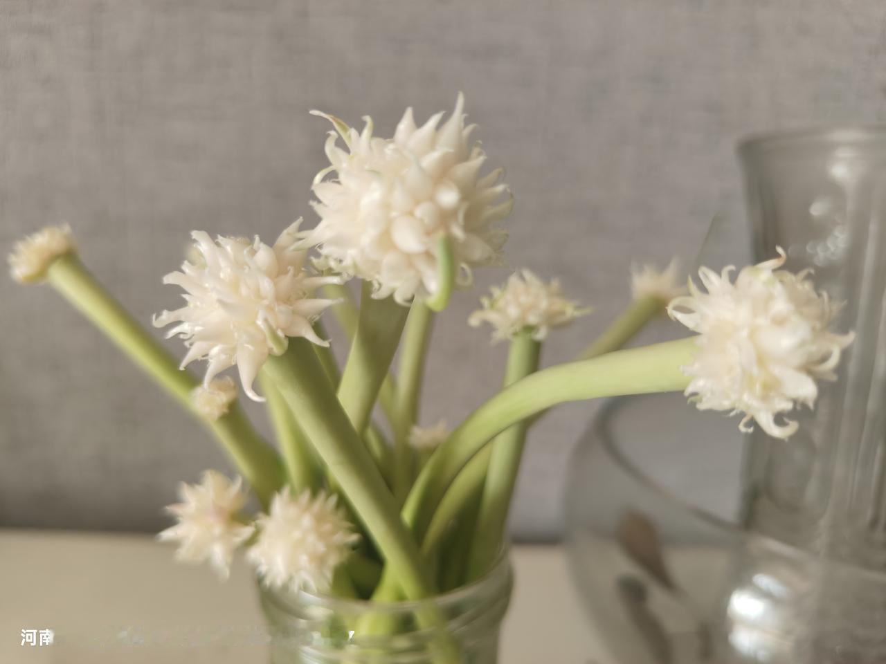 这是什么花呀