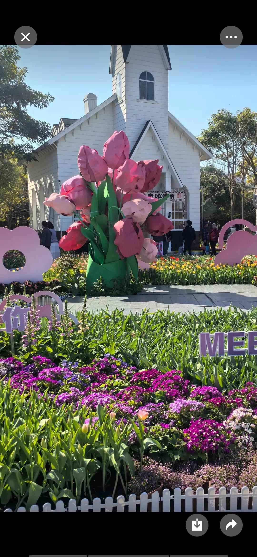 花的海洋、花的世界。园博苑鲜花春意黯然迎接着各方宾客，是新春游玩的佳境。