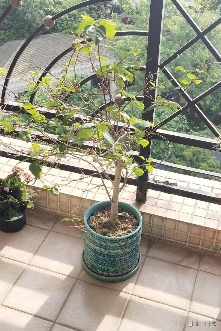 风和日丽的下午
