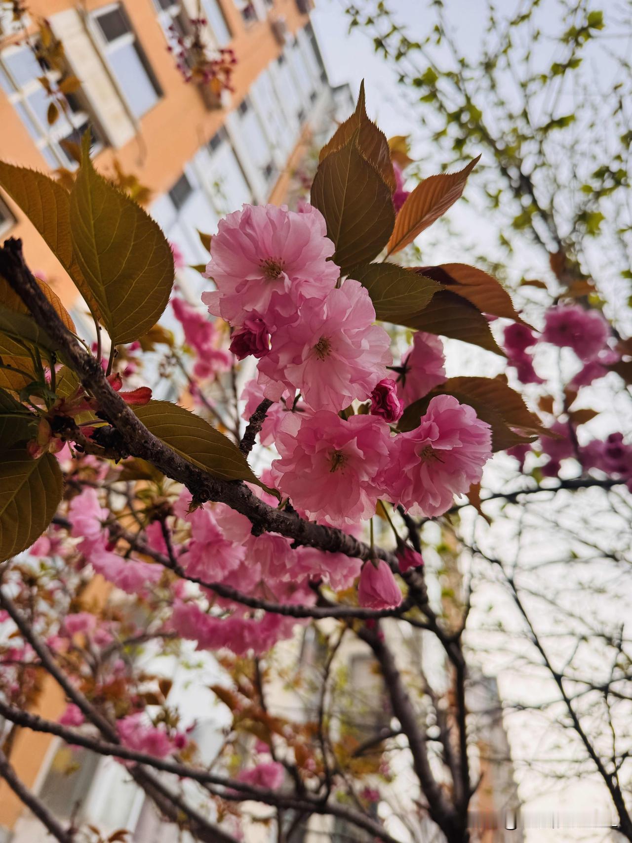 你删除过你最爱的人微信和电话吗?
删过，
我这个人挺绝情的，
我心情不好的时候，