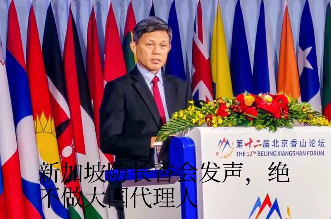 新加坡；选边站就是靠边站，新加坡绝不做大国的代理人。
安全保障靠美国，经济发展靠