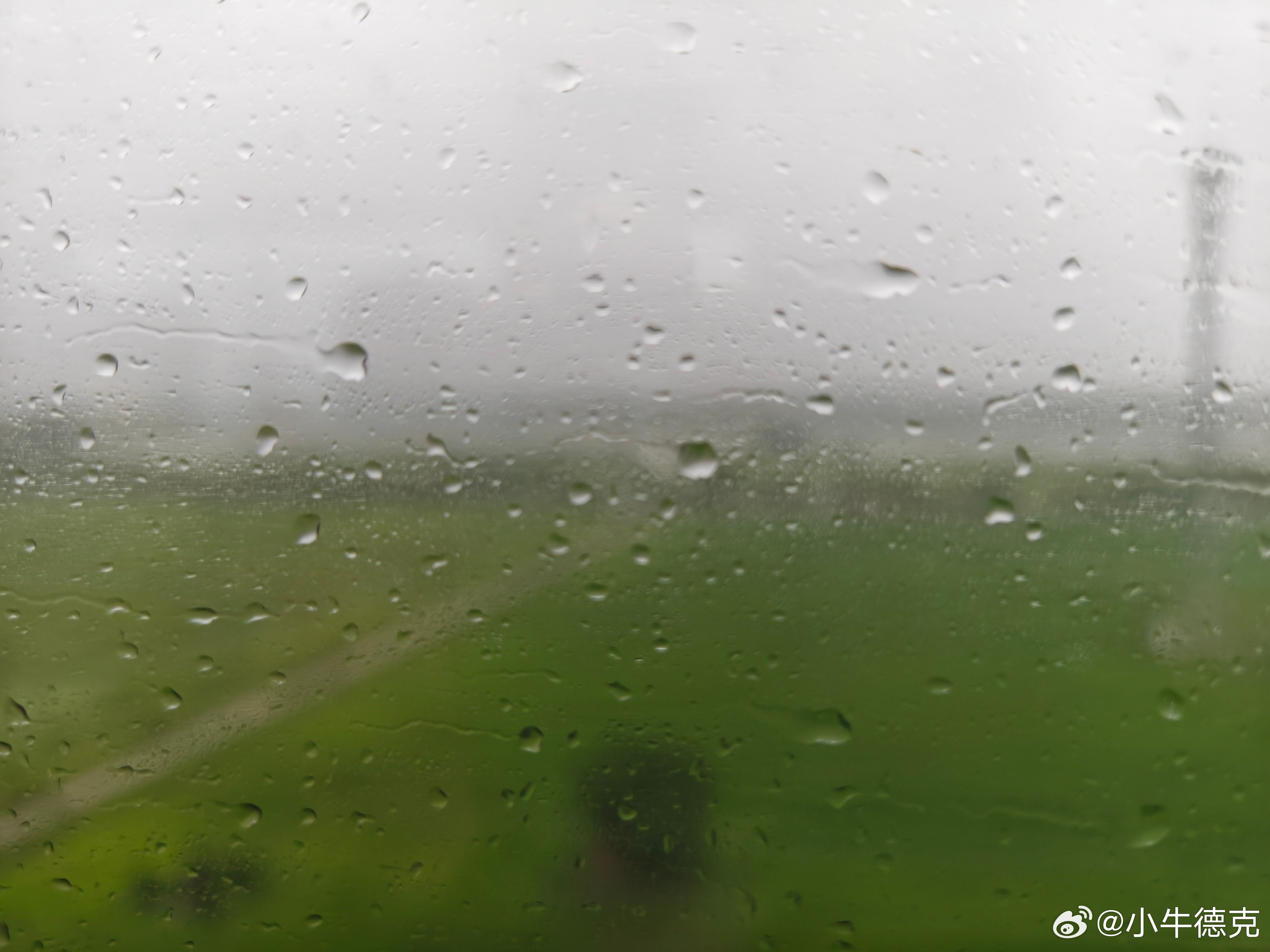 早安，今天去北京，希望北京的雨不大。