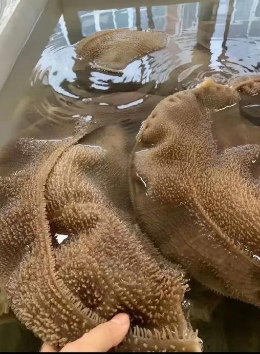 减肥需要控制饮食，饮食总体要少油、少盐。每天要注意总能量的摄入，保证总消耗大于总