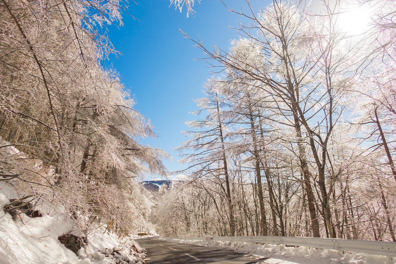 今年冬天的不同：变化中的温暖与希望
每年的冬天都带来寒冷与温馨，但今年的冬天似乎