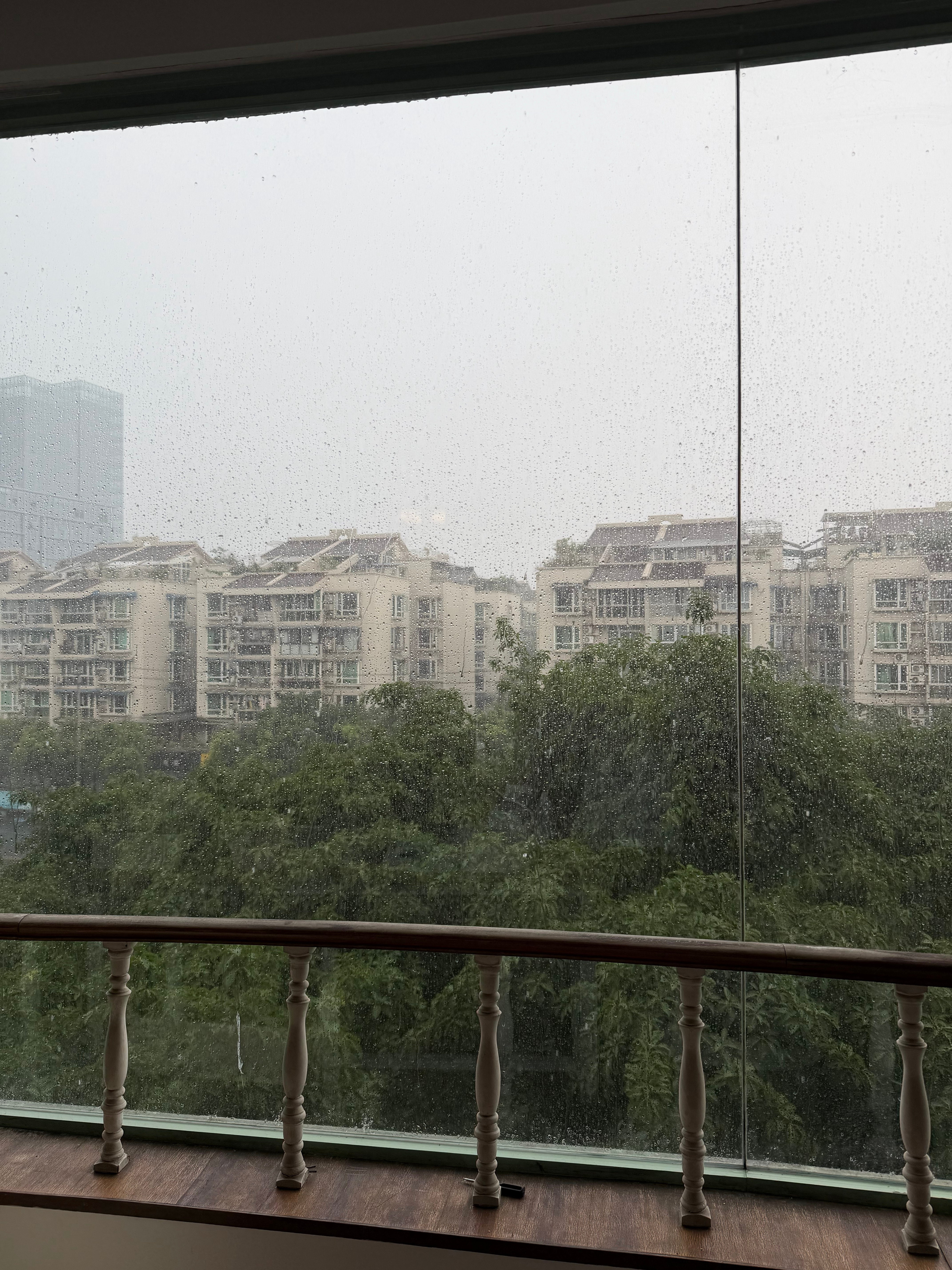 下大雨 玻璃上有水珠滑动 珍珠在这儿玩水珠买了个置物架 做了个帘子遮丑 还做了发