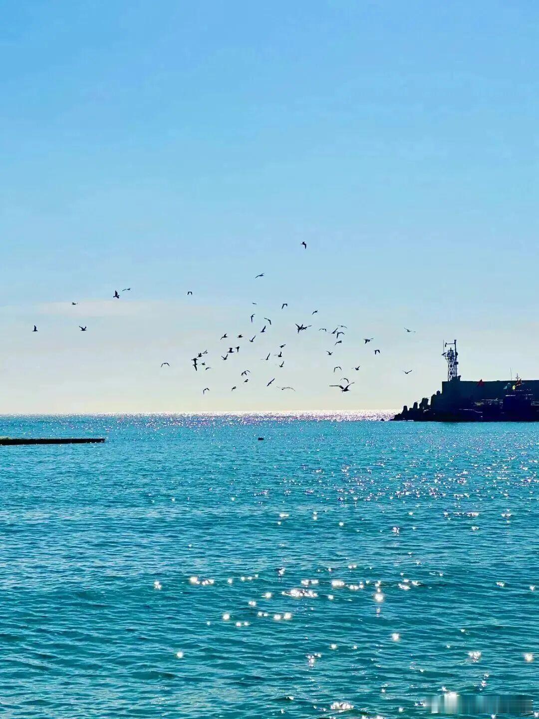 踏沙逐浪，自在欢喜，快乐至上～ ​​​