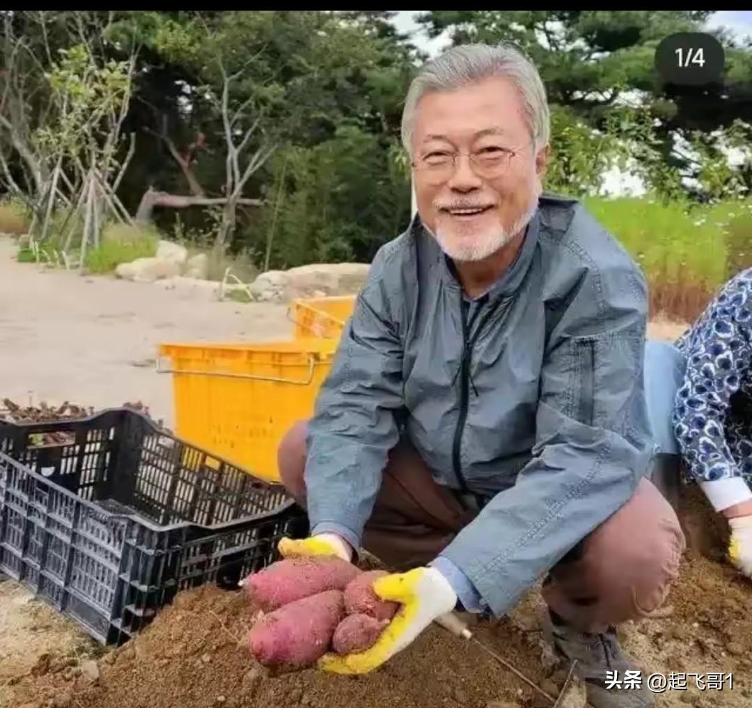 韩国最聪明的总统就是文在寅了，今年74岁了，隐居深山老林自己种园子，不闻国家事。