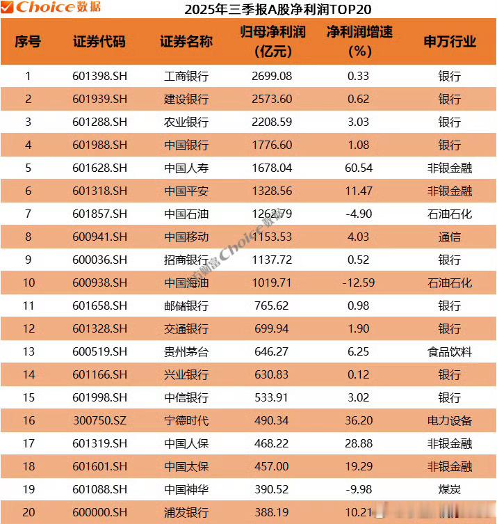 2025年三季报A股净利润TOP20 ​​​