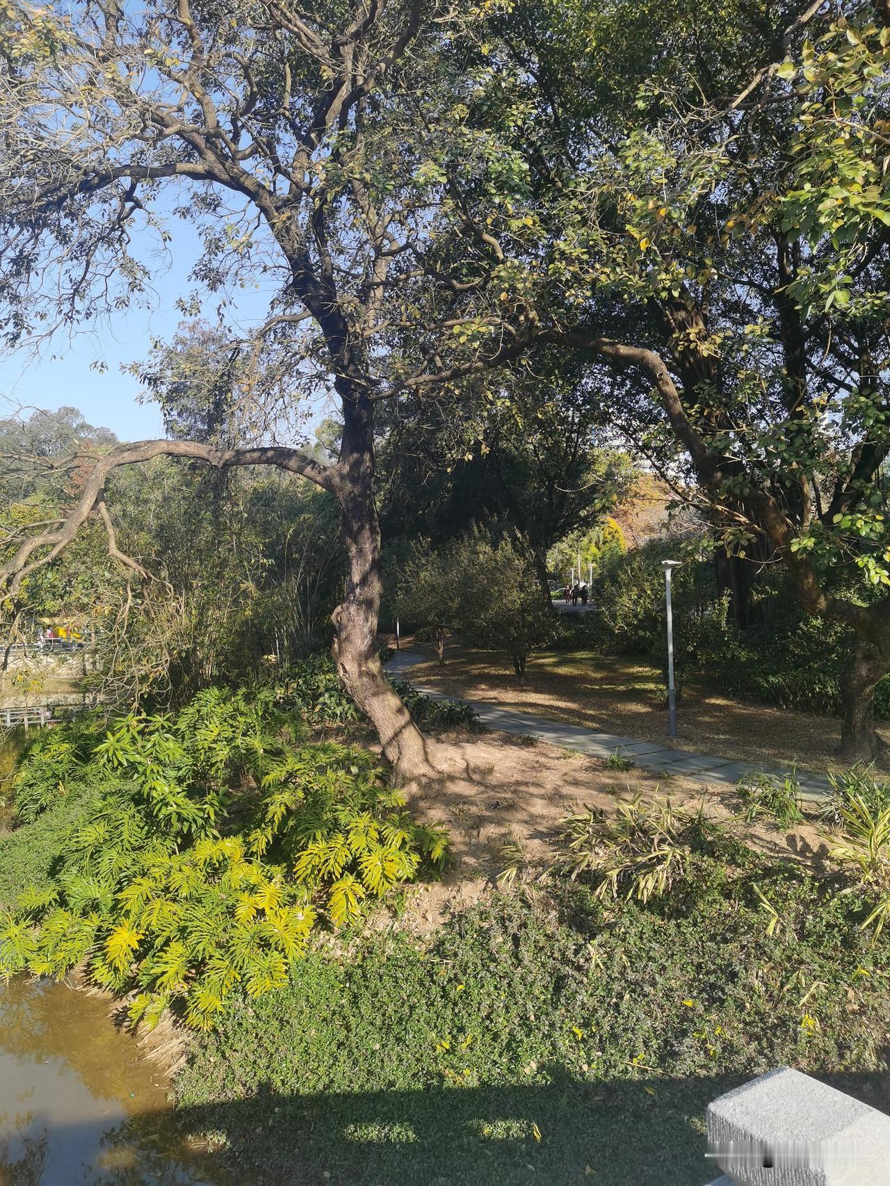 富豪移民跑路，导致大量资金流失。开征“离境税”和“弃籍税”，是解决的好办法，效率