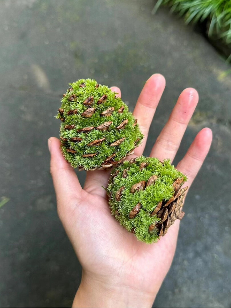 永远会被绝处逢生的生命力感动到
