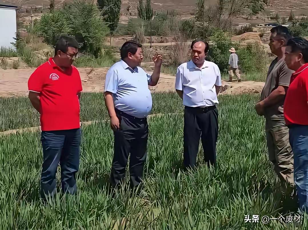 能吃能干，标准的农民企业家。