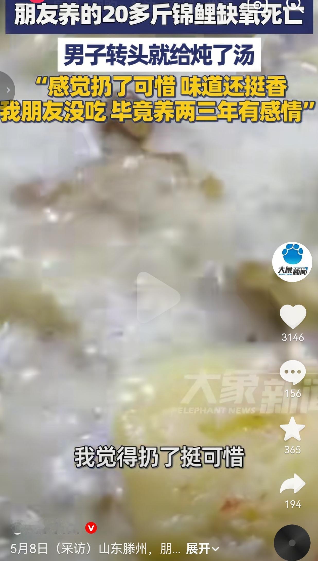 朋友养了两三年的20斤锦鲤缺氧死了，转头被他炖成了汤，网友吵翻了：这波操作到底是