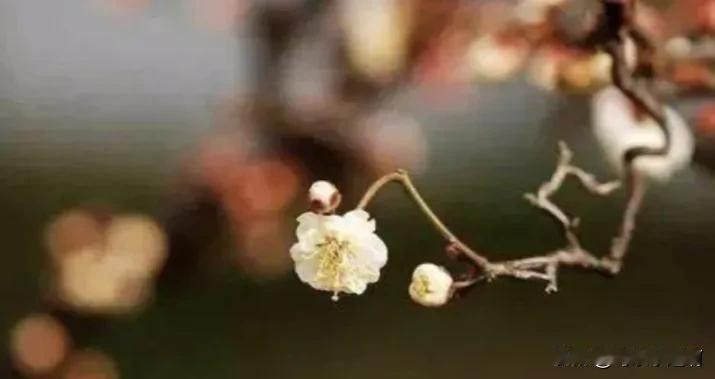 2024年的躲春时间是从上午9:42开始至中午11:42结束。具体日期为2024