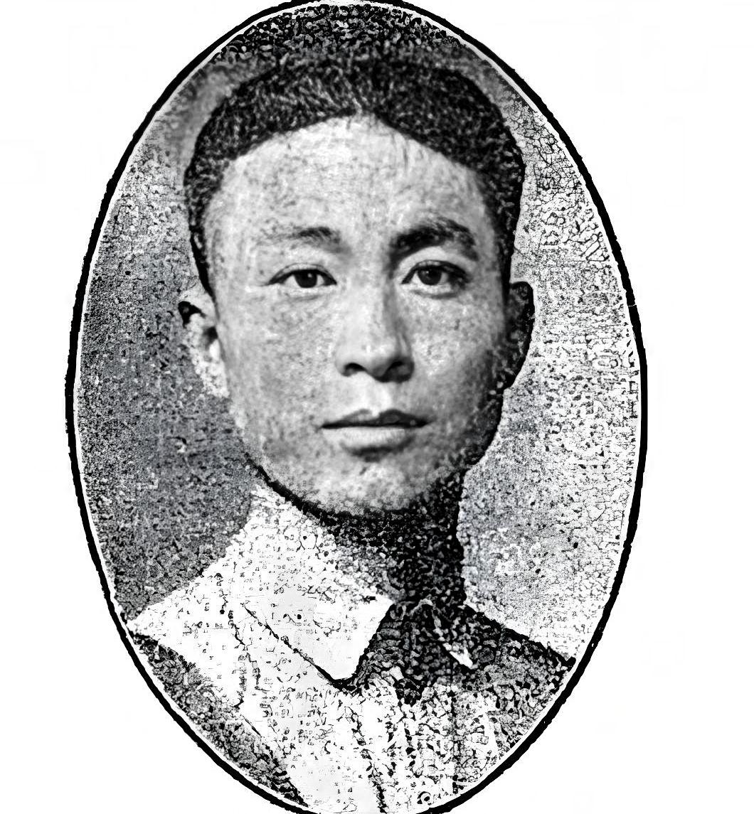1937年，红军大学教务主任何涤宙在武汉离奇失踪，多年里下落成谜。他原本是国民党