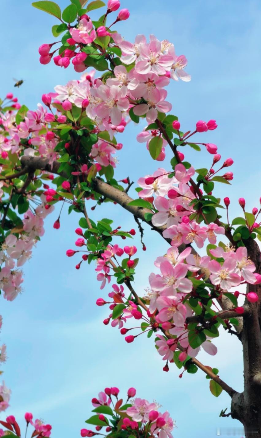 今天可谓黑色星期二， A 股大盘震荡下行：东方财富App显示的10项指数除上证 